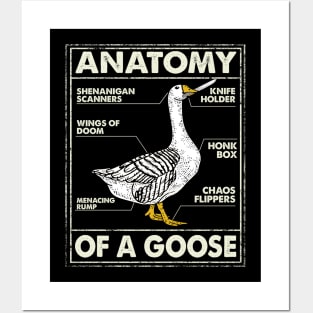 Anatomy Of A Goose Funny Nurse Gift Posters and Art